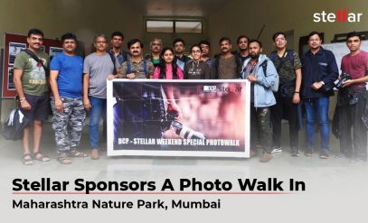 Stellar-Sponsors-A-Photo-Walk