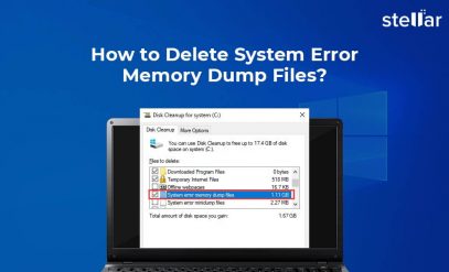 Delete System Dump Files