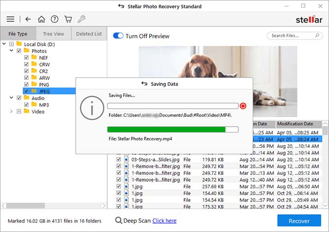 use-Stellar-Photo-Recovery-Software-to-recover-lost-media-files