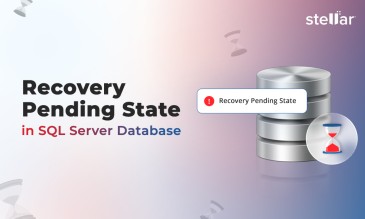 Stellar Data Recovery Article