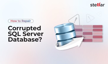 Stellar Data Recovery Article